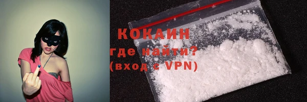 дживик Осинники