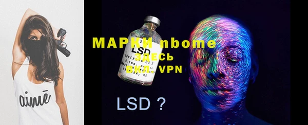 PSILOCYBIN Осташков