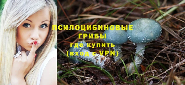 прущая мука Остров