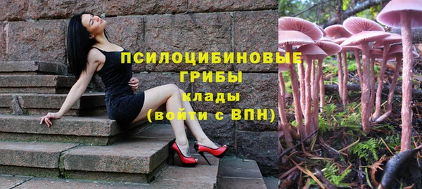 прущая мука Остров