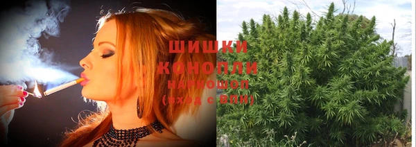 PSILOCYBIN Осташков