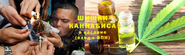 PSILOCYBIN Осташков